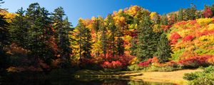 Preview wallpaper trees, lake, autumn, landscape
