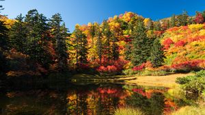 Preview wallpaper trees, lake, autumn, landscape