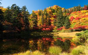 Preview wallpaper trees, lake, autumn, landscape