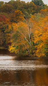 Preview wallpaper trees, lake, autumn, nature, landscape