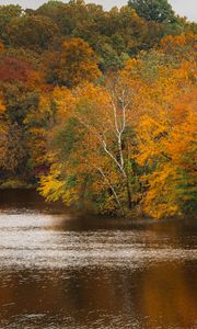 Preview wallpaper trees, lake, autumn, nature, landscape