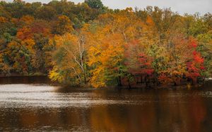 Preview wallpaper trees, lake, autumn, nature, landscape