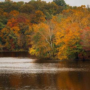 Preview wallpaper trees, lake, autumn, nature, landscape
