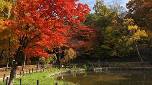Preview wallpaper trees, lake, autumn, nature