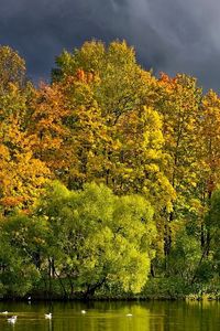 Preview wallpaper trees, lake, autumn, cloudy, clouds, coast, wefts