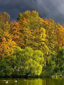 Preview wallpaper trees, lake, autumn, cloudy, clouds, coast, wefts