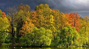 Preview wallpaper trees, lake, autumn, cloudy, clouds, coast, wefts