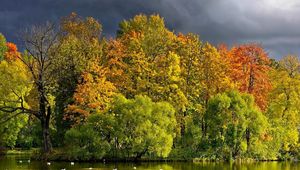 Preview wallpaper trees, lake, autumn, cloudy, clouds, coast, wefts