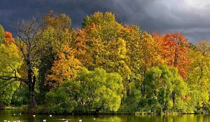 Preview wallpaper trees, lake, autumn, cloudy, clouds, coast, wefts