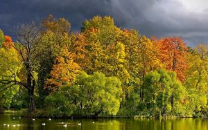 Preview wallpaper trees, lake, autumn, cloudy, clouds, coast, wefts