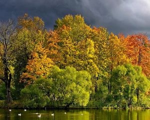 Preview wallpaper trees, lake, autumn, cloudy, clouds, coast, wefts