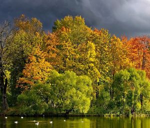 Preview wallpaper trees, lake, autumn, cloudy, clouds, coast, wefts