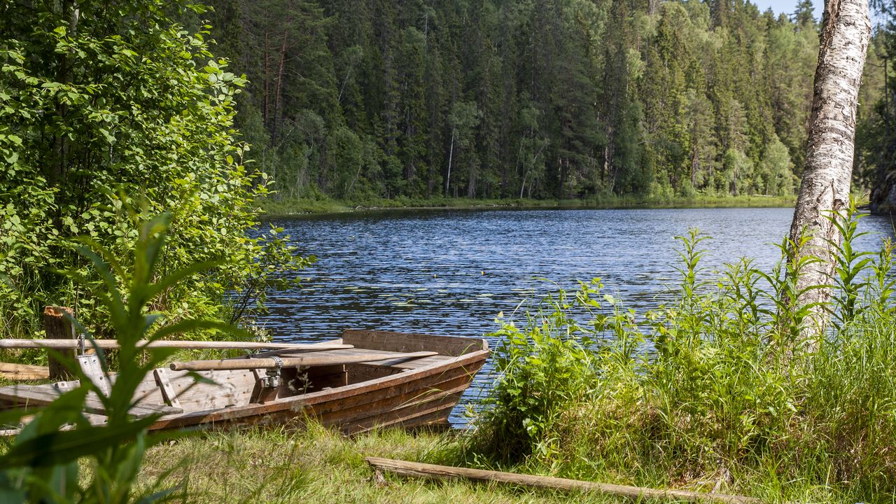 Wallpaper trees, lake, boat, nature, landscape