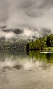 Preview wallpaper trees, lake, coast, clouds, haze, cloudy