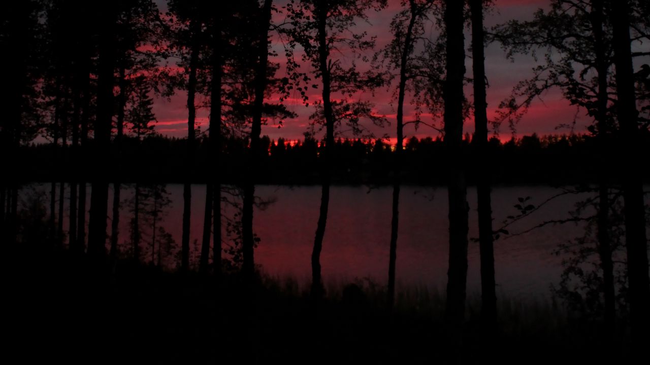 Wallpaper trees, lake, dark, dusk