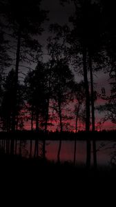 Preview wallpaper trees, lake, dark, dusk