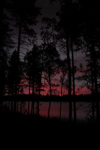 Preview wallpaper trees, lake, dark, dusk