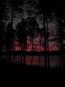 Preview wallpaper trees, lake, dark, dusk