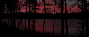 Preview wallpaper trees, lake, dark, dusk