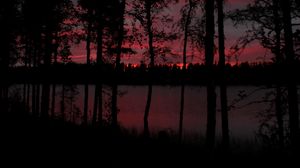 Preview wallpaper trees, lake, dark, dusk