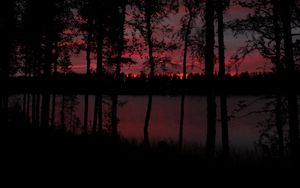 Preview wallpaper trees, lake, dark, dusk