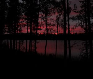 Preview wallpaper trees, lake, dark, dusk