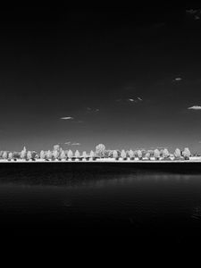 Preview wallpaper trees, lake, embankment, bw