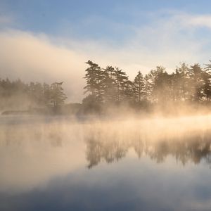 Preview wallpaper trees, lake, fog, nature, landscape