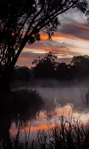 Preview wallpaper trees, lake, fog, twilight, dark