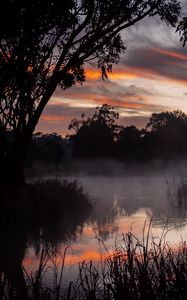 Preview wallpaper trees, lake, fog, twilight, dark