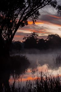 Preview wallpaper trees, lake, fog, twilight, dark