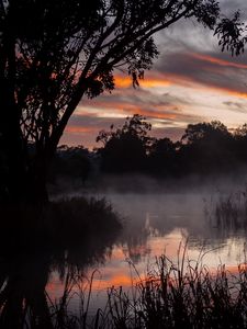 Preview wallpaper trees, lake, fog, twilight, dark