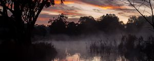 Preview wallpaper trees, lake, fog, twilight, dark