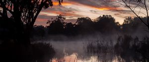 Preview wallpaper trees, lake, fog, twilight, dark