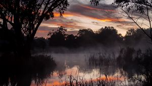 Preview wallpaper trees, lake, fog, twilight, dark
