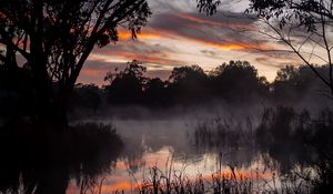 Preview wallpaper trees, lake, fog, twilight, dark