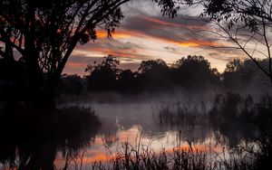 Preview wallpaper trees, lake, fog, twilight, dark