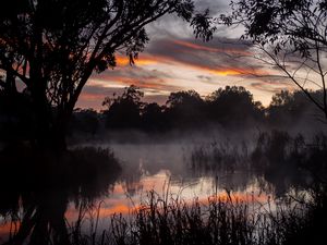 Preview wallpaper trees, lake, fog, twilight, dark