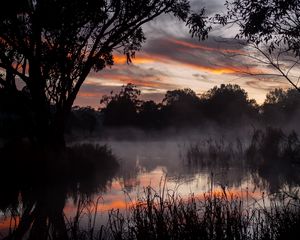Preview wallpaper trees, lake, fog, twilight, dark