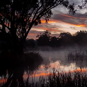 Preview wallpaper trees, lake, fog, twilight, dark