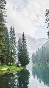 Preview wallpaper trees, lake, forest, clouds