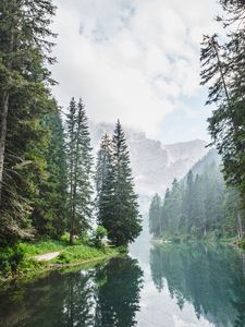 Preview wallpaper trees, lake, forest, clouds