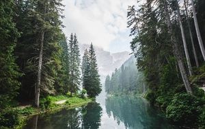 Preview wallpaper trees, lake, forest, clouds