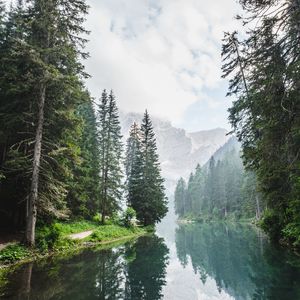 Preview wallpaper trees, lake, forest, clouds