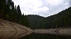 Preview wallpaper trees, lake, forest