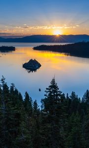 Preview wallpaper trees, lake, forest, island, nature, aerial view