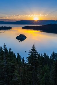 Preview wallpaper trees, lake, forest, island, nature, aerial view