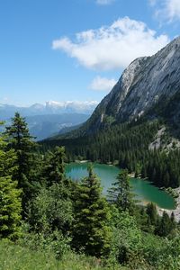 Preview wallpaper trees, lake, forest, mountain