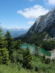 Preview wallpaper trees, lake, forest, mountain