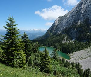 Preview wallpaper trees, lake, forest, mountain